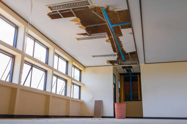 Best Ceiling water damage repair  in Coral Hills, MD