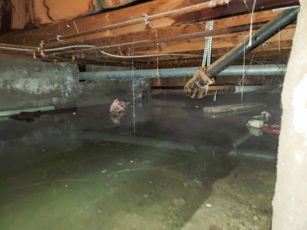 Best Flood restoration services  in Coral Hills, MD