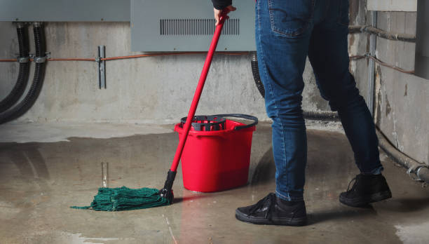 Best Sewage cleanup and water damage restoration  in Coral Hills, MD
