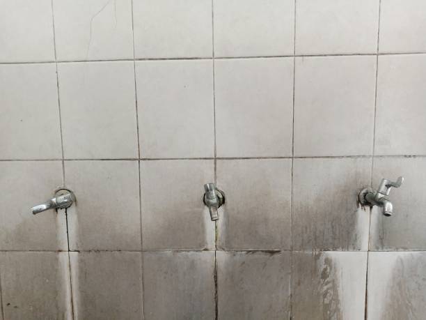 Best Residential water damage restoration  in Coral Hills, MD